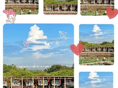 -广州莲花山旅游区