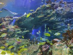 -海合安成都极地海洋公园