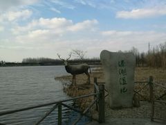-溱湖国家湿地公园