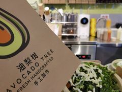 -油梨树AVOCADO TREE(嘉里中心店)