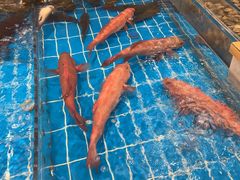 -新丁香海鲜酒店(银海商贸城店)