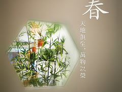 -羲和雅苑•北京烤鸭(国贸商城店)