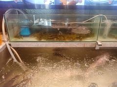 -吴记酱骨炖菜馆(康安路店)