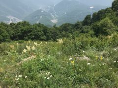 -白草畔自然风景区