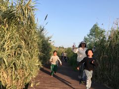 -柳湖沙月沙滩公园