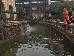 -苏州吴宫泛太平洋酒店