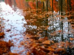 -上海证券交易所(上海证券大厦北塔店)