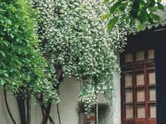-苏州园林博物馆