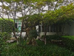 -苏州图书馆(人民路总馆)