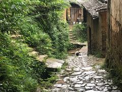 -杨家堂村