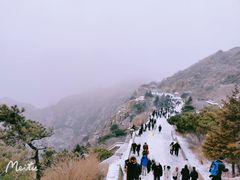 -泰山风景名胜区