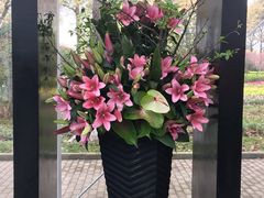 -上海鲜花港