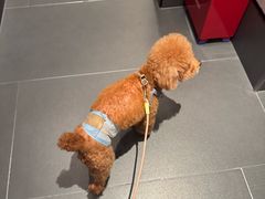 -康逸居·始于2002(海安店)
