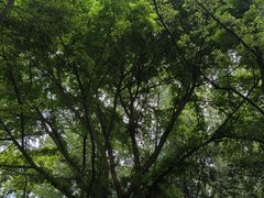 -成都市活水公园