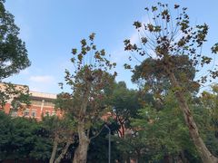 -四川大学(望江校区)