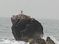 -青岛第二海水浴场