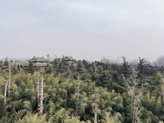 -洛阳白马寺