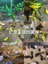 -酷嗒动物文化乐园(cutezoo西溪乐天城店)