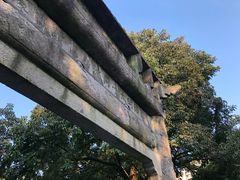 -昭明书院