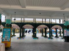 -海合安成都极地海洋公园