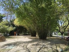 -堤角公园