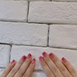-BELLAREAL新美社