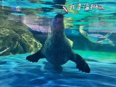 -常州海昌海洋探索馆