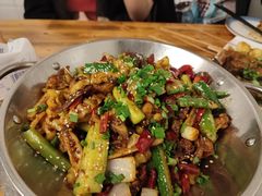 -万州烤鱼