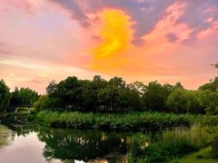 -贡湖湾湿地公园