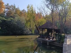 -黄兴公园