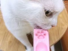 -藏猫猫咖啡主题馆(中央大道店)