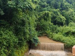 -西双版纳原始森林公园