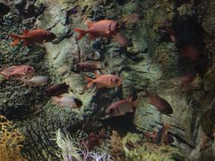 -太平洋海底世界