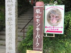 -岚山猴子公园