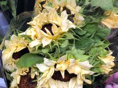 -循礼门鲜花花市(武汉循礼门店)