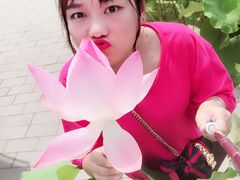 -白洋淀景区