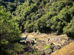 -广州白江湖森林公园