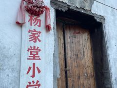 -杨家堂村