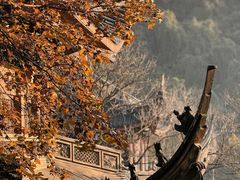 -灵顺寺