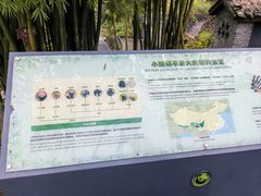 -都江堰中华大熊猫苑