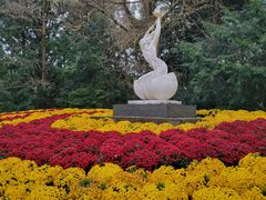 -杭州植物园