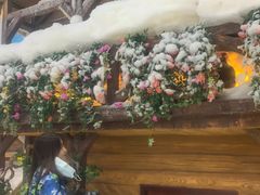 -世界之窗阿尔卑斯冰雪世界
