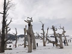 -新疆那拉提国家旅游度假区