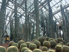 -南山植物园