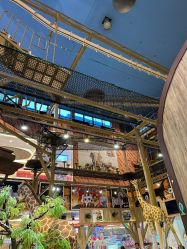 -卡通尼·Safari非洲探索乐园·生日会(金桥国际商业广场店)