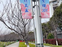 -高东镇樱花园