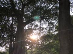 -乌山风景区