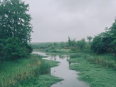 -东平国家森林公园