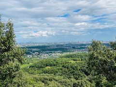 -北京西山国家森林公园