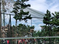 -西霞口神雕山野生动物世界